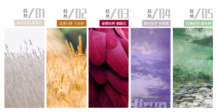 濃妝淡抹總相宜，一見鐘情最合意！—鴻揚(yáng)2023色彩流行趨勢發(fā)布